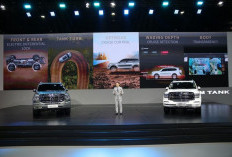 SUV Mentereng! Ini Pilihan Warna GWM Tank 500 HEV dan GWM Haval H6 HEV