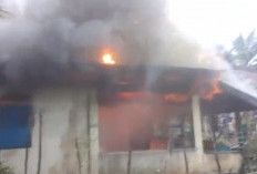 BREAKING NEWS: Rumah Warga Desa Tanjung Heran Ludes Terbakar