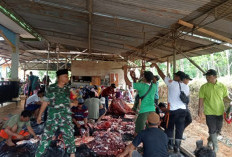 Idul Adha 1446 H, LDII Benteng Salurkan 32 Hewan Kurban ke Lima Titik