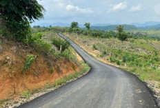 Angkutan Batu Bara Dilarang Keras Lintasi Jalan Alternatif Baru di Desa Tanjung Raman