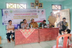 Lima Titik Gorong-Gorong Dibangun, 800 Ekor Bibit Ayam Kampung Jadi Program Ketahanan Pangan