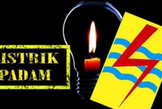 ULP PLN Kepahiang Minta Masyarakat Berikan Izin Pangkas Tanam Tumbuh, Ini Alasannya 