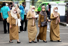 Kabar Gembira dari Baleg DPR RI soal Peluang PPPK jadi PNS