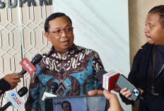Sekjen Demokrat Setuju Aparat Tertibkan Bendera One Piece