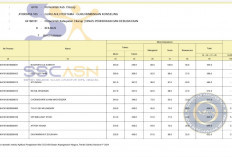 Pengumuman Hasil Seleksi PPPK Guru Tahap 2: Bonus Nilai Kode S Hanya Drama Korea?