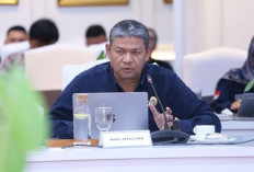 38.524 PNS dan PPPK Diusulkan jadi ASN Pusat, Ratusan Gagal karena 4 Hal