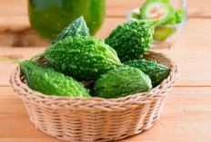 Ampuh Kendalikan Gula Darah, Ini Sederet Manfaat Pare