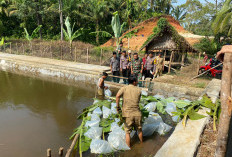 Ini Dia 3 Item Pembangunan Infrastruktur di Desa Penum, Salah Satunya Drainase