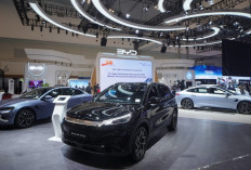 BYD dan Denza Mengumumkan Hasil Penjualan 2 Bulan Pertama 2025, M6 Tokcer