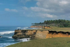 Tanpa Biaya Masuk, Pantai Nangai Bengkulu Instagramable Banget Loh!