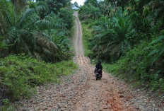 Akses Jalan Menuju Dusun Anyar Rusak Parah