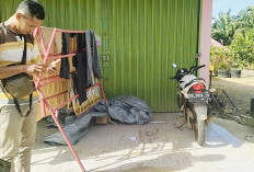 Mobil Angkut Beras Milik Warga Sri Kuncoro Raib Digasak Maling