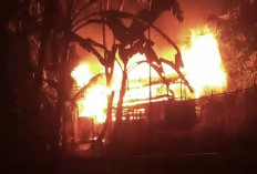 BREAKING NEWS: Kebakaran di Bengkulu Tengah, 1 Rumah Warga Ludes