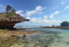Pemandangan Alam Bawah Laut Cantik di Pantai Ngandong, Fasilitas Lengkap Cocok untuk Snorkeling