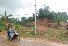 Jalan Berlumpur Diduga Akibat Galian C Ilegal, Warga Desa Tengah Padang Minta Pemerintah Bertindak