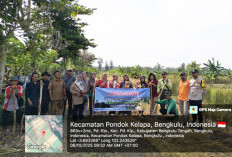 Desa Pondok Kelapa Luncurkan Program Sadesahe, Dorong Ketahanan Pangan Lewat Penanaman Jagung