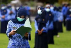 Terungkap Penyebab SK PPPK Paruh Waktu Lambat, Oalah