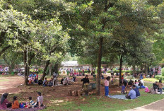 Wisata Murah Merawat Flora dan Fauna, Tarif Masuk Ragunan Cuma Rp4.000
