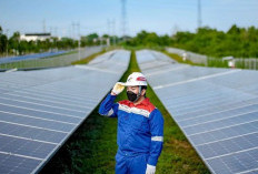 Cegah Praktik Korupsi, ICW Ingatkan Pemerintah untuk Awasi Program Transisi Energi Ramah Lingkungan