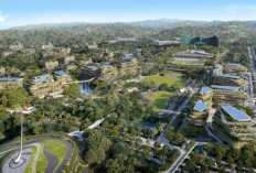 Tindak Lanjut Arahan Wapres, Persiapan ASN Berkantor di IKN Terus Digodok