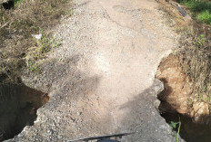 Pasca Tinjauan PUPR, Jalan Srikaton-Panca Mukti Makin Parah dan Terancam Putus