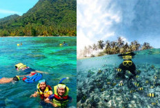 6 Tempat Wisata Snorkeling di Sumatera yang Wajib Dicoba, Panoramanya Bak Disurga