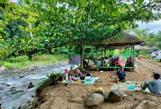 Hari Ke-4 Liburan Awal Tahun, Wisata Glamping Rindu Hati Tetap Ramai Meski Ada Penurunan Pengunjung