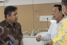 Pilihan Baru