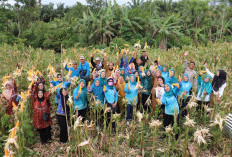 Ketua PKK Benteng Apresiasi Kualitas Jagung Panen Raya Desa Lagan