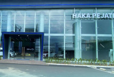 Resmi Buka BYD Haka Pejaten, Haka Auto Gelar Lunar Year Festi Sale 2025
