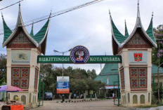 Mengenal Kebun Binatang Bukittinggi, Wisata Kebun Binatang Tertua di Indonesia