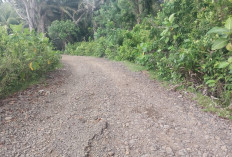 Tiap Tahun Diusulkan, Akses Jalan Rusak di Desa Ini Diharapkan Segera Diperbaiki 