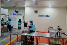 SPPI Kelompok III Juga Diangkat jadi PPPK, Mendapat Tunjangan Kinerja