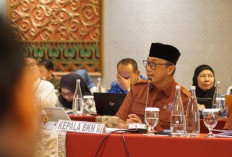 Kepala BKN Ungkap Jumlah PPPK Paruh Waktu Penerima SK, Honorer Bisa Puyeng