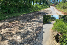 Ruas Lubuk Puar–Lubuk Pendam Kian Parah, Warga Minta Tindakan Cepat