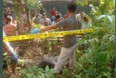 Jasad Pria Ditemukan di Perkebunan Sawit, Warga Sempat Heboh, Ini Kata Pemilik Lahan