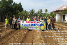 Pemdes Pekik Nyaring Gerakkan Warga Tanam Jagung untuk Kemandirian Pangan dan Ekonomi