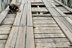 Kondisi Jembatan Desa Paku Haji Memprihatinkan, Aktivis Ormas dan LSM Pertanyakan Kepedulian Pemkab 