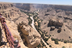 Tarim Tanah