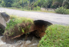 Banjir Pondok Kelapa: Peralatan Rusak, Sawah Terendam, hingga Bahu Jalan Tergerus