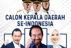 NasDem Provinsi Bengkulu Buka Penjaringan Cakada Terhitung 1 Mei–7 Mei, Termasuk Cakada Bengkulu Tengah