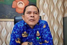 29 Desa di Bengkulu Tengah Terima Dana Tambahan, Kadis PMD Ingatkan Pemanfaatannya