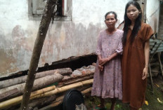 Rumah Ringsek Karena Gempa, Warga Sekayun Mengadu ke Kades, DPRD Desak Pemda Turun Tangan