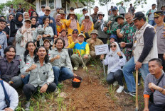 Gubernur Rohidin Mersyah Ajak Masyarakat Tanam dan Pelihara Pohon