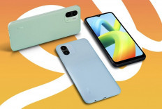 3 HP Xiaomi Murah Meriah Kualitas Menarik, Gak Bikin Kantong Jebol!