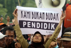 PGRI Usul Pengelolaan Guru Termasuk Honorer dan PPPK Terpusat, Respons Wamendikdasmen Tegas