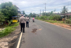 Diduga Korban Tabrak Lari, Wanita 43 Tahun Meninggal Dunia di Bengkulu Tengah