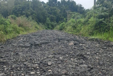 Desa Kota Niur Nyaris Terisolasi, Kades Dorong Pembukaan Jalur Alternatif 5 Kilometer