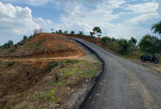 Ini Dia Dampak Signifikan Pasca Jalan Alternatif Desa Tanjung Raman Rampung Dibangun