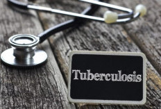 Terpapar Kuman Mycobacterium Tuberculosis Berisiko Sakit TBC, Wajib Ikut Terapi